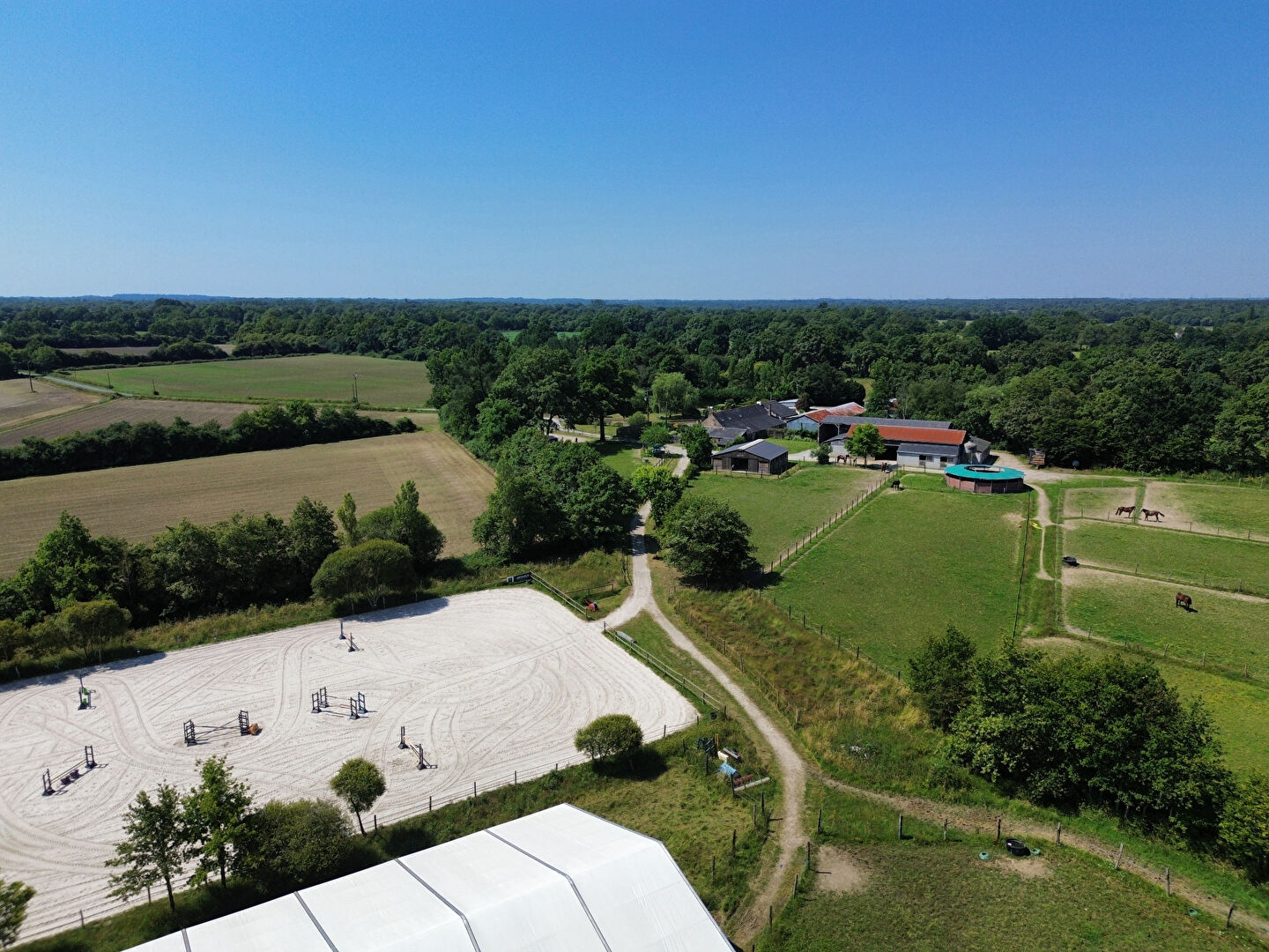 propriété équestre nord nantes 12 ha