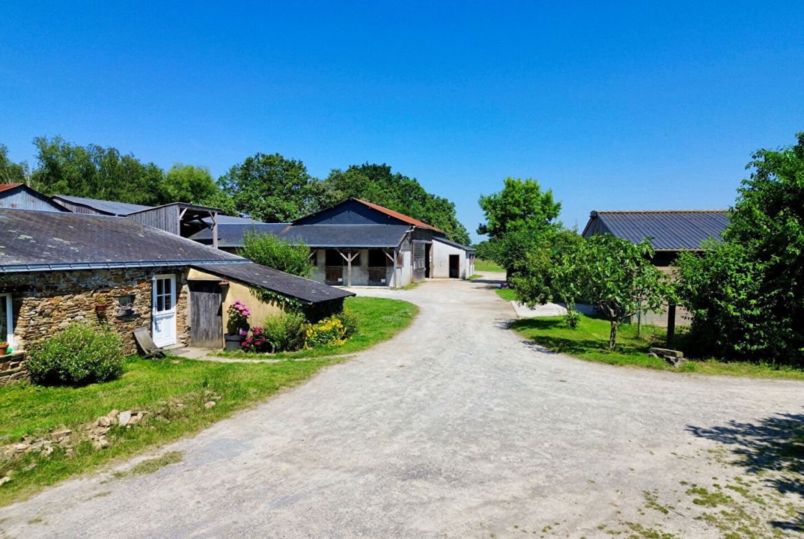 propriété équestre nord nantes 12 ha