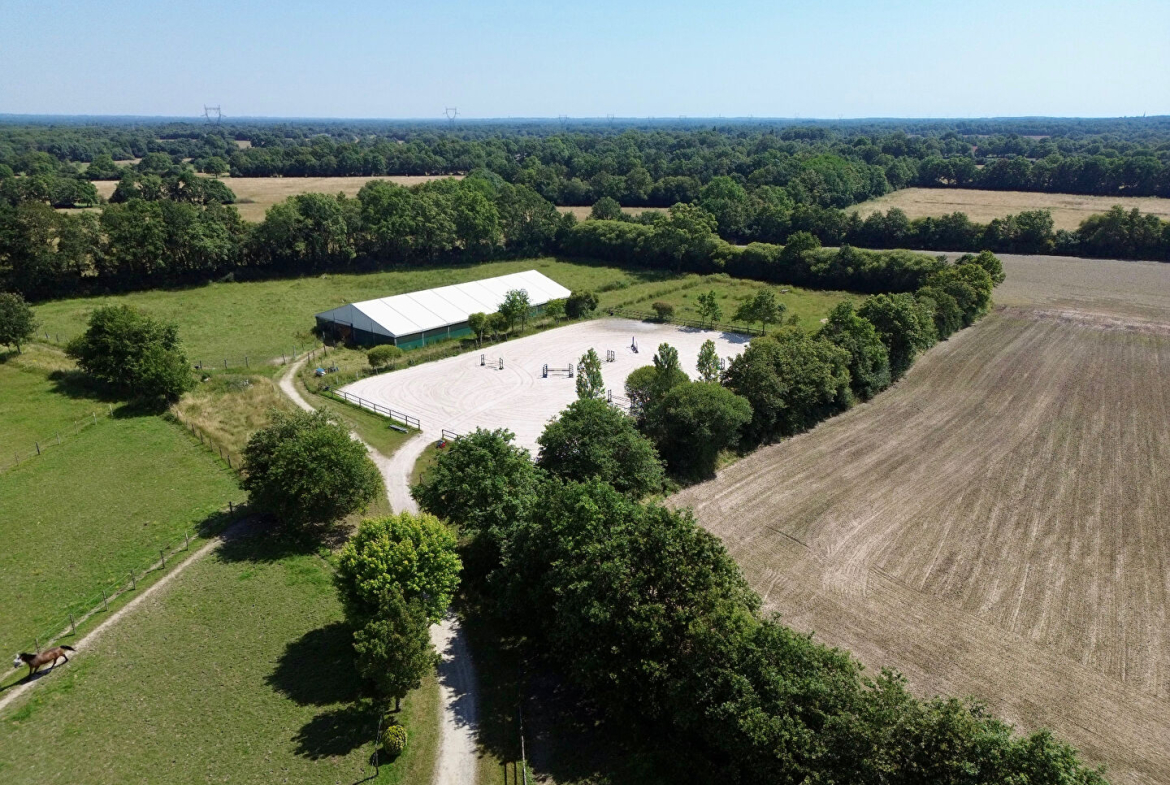 propriété équestre nord nantes 12 ha