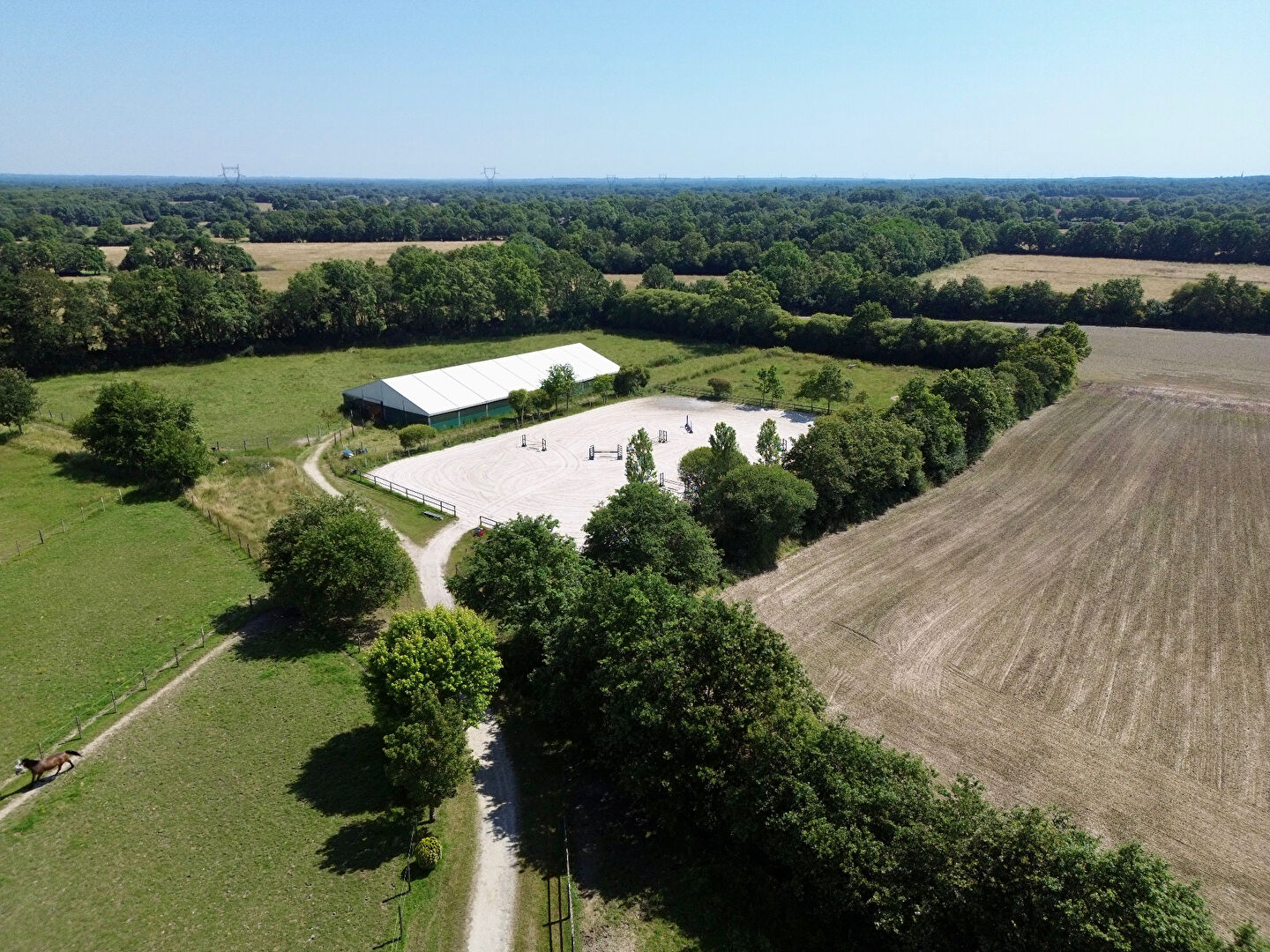 propriété équestre nord nantes 12 ha