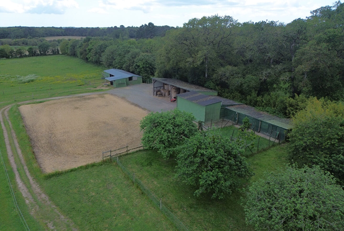 propriete equestre 18 hectares herbignac