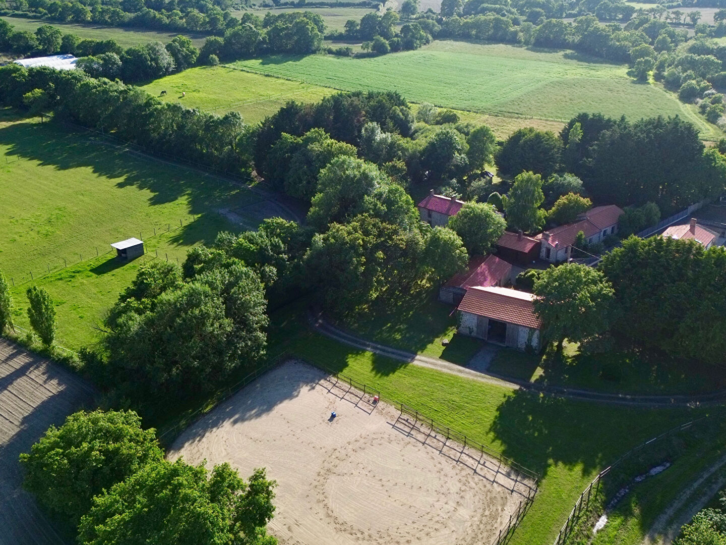 propriété équestre 4 hectares frossay