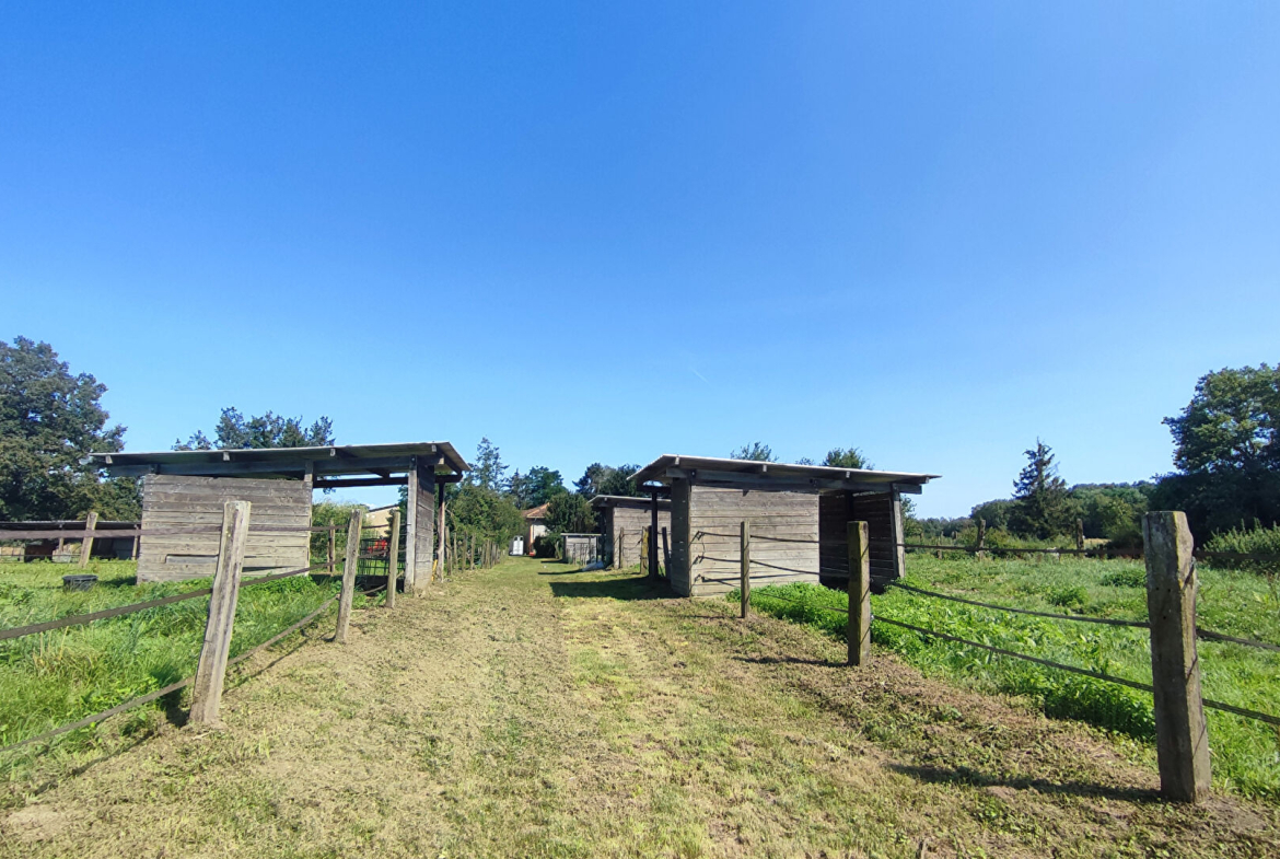 propriété équestre 14 ha chatillon