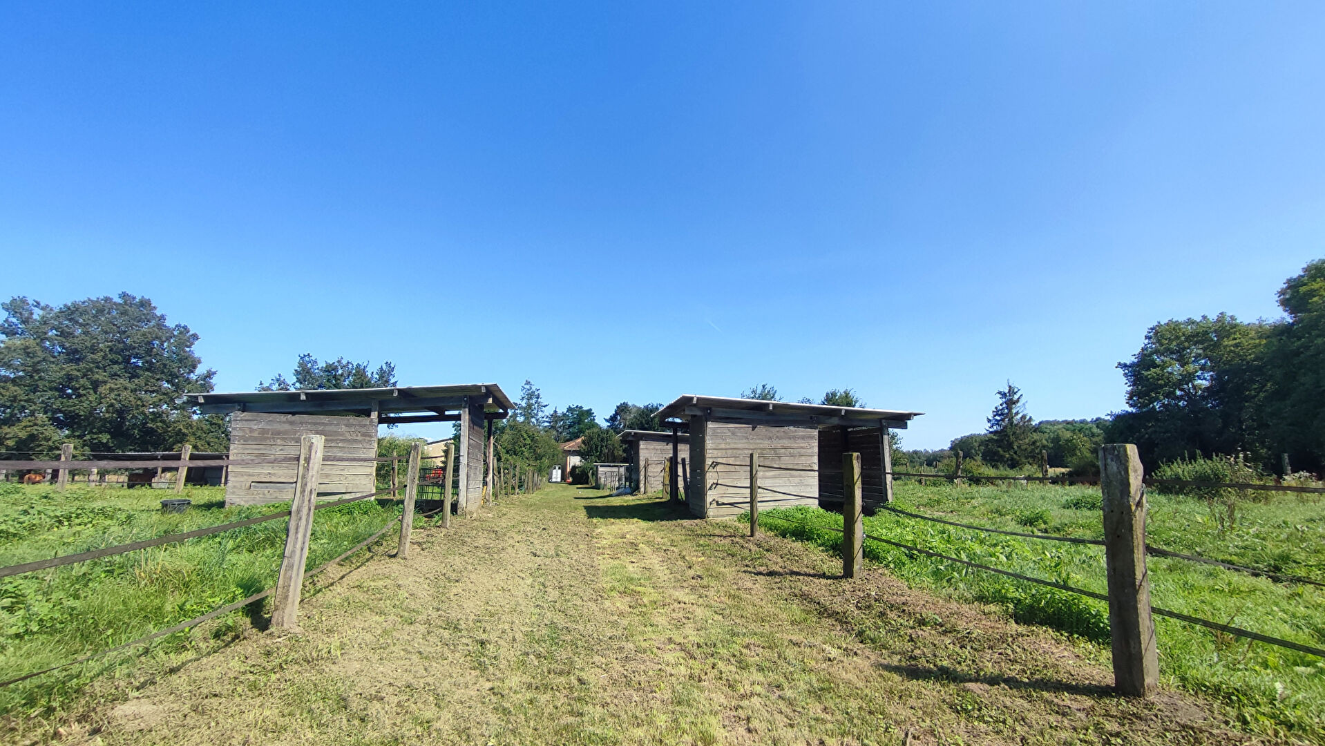 propriété équestre 14 ha chatillon